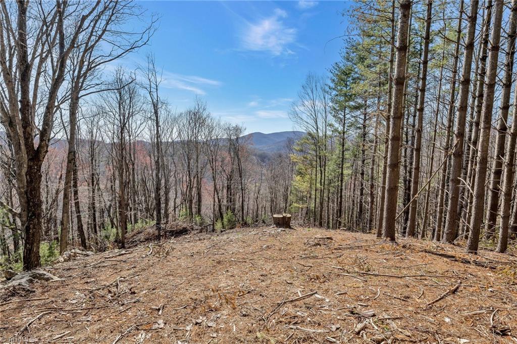 TBD Highlands Parkway, Mouth of Wilson, Virginia image 25