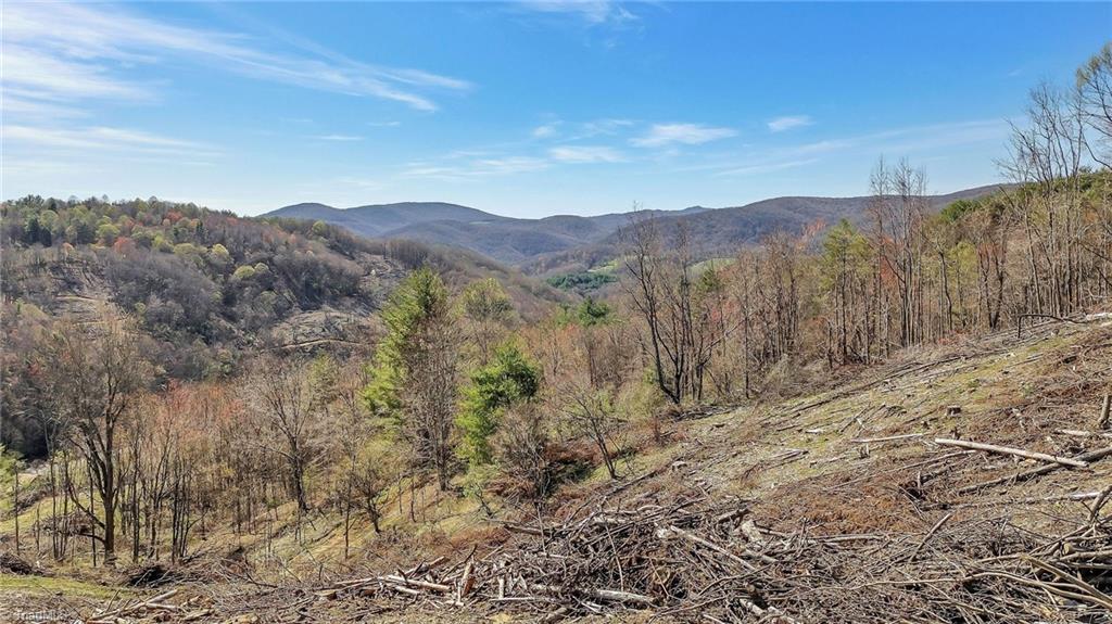 TBD Highlands Parkway, Mouth of Wilson, Virginia image 4