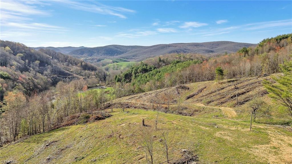TBD Highlands Parkway, Mouth of Wilson, Virginia image 15