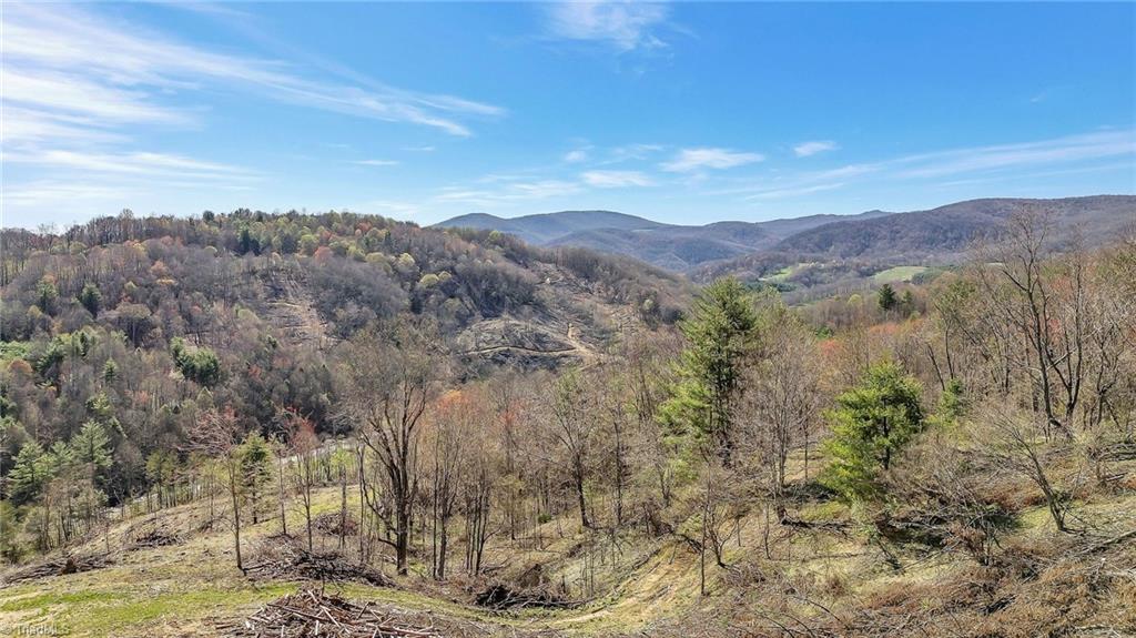 TBD Highlands Parkway, Mouth of Wilson, Virginia image 9