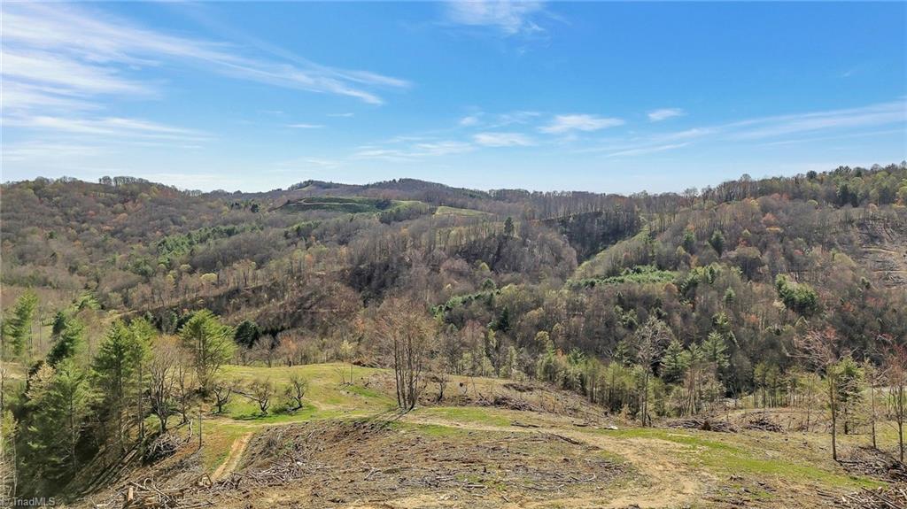 TBD Highlands Parkway, Mouth of Wilson, Virginia image 6