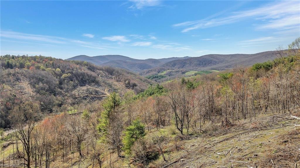 TBD Highlands Parkway, Mouth of Wilson, Virginia image 5