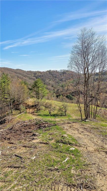 TBD Highlands Parkway, Mouth of Wilson, Virginia image 11