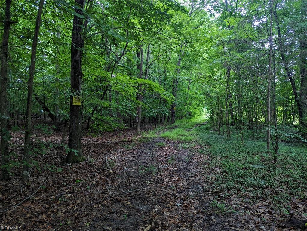 000 Harper Road, Clemmons, North Carolina image 1