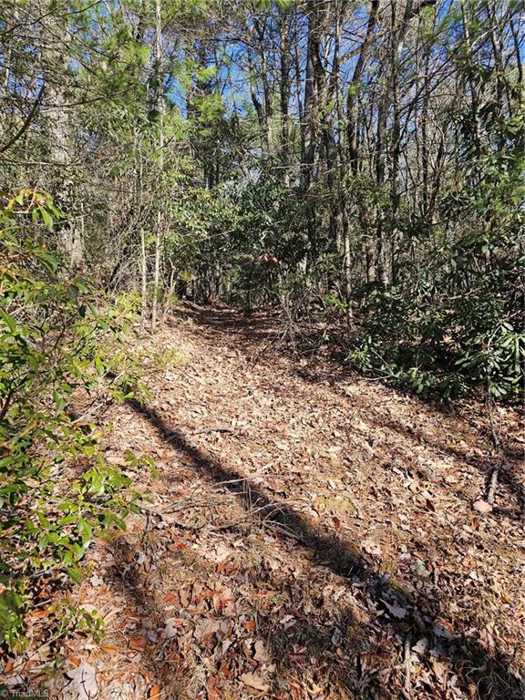 Lot 10 Carolina Road, Millers Creek, North Carolina image 1