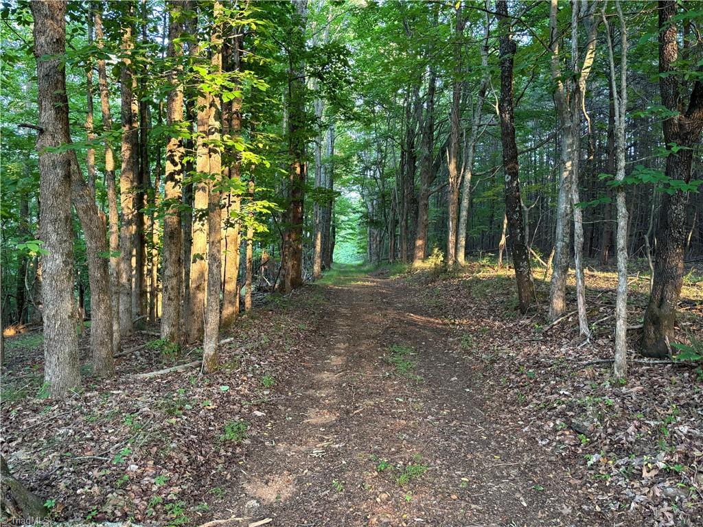 TBD Cox Road, Mount Airy, North Carolina image 21
