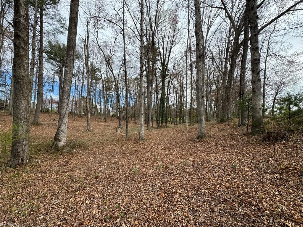 176 Edwards Blackburn Road, Elkin, North Carolina image 17