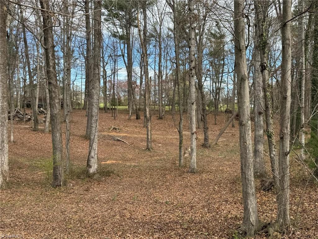 176 Edwards Blackburn Road, Elkin, North Carolina image 16