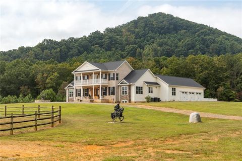 204 Violet Ridge Trail Lowgap NC 27024