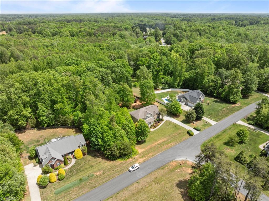 7782 Springdale Meadow Drive, Stokesdale, North Carolina image 49