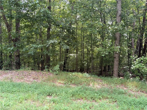 Vacant Land For Sale - 00 Glenrobin Drive<br/> Rockingham County, Eden, NC 27288