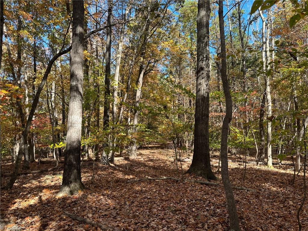 2547 Lot 6 Plus Partial A Beechwood Drive, Asheboro, North Carolina image 6