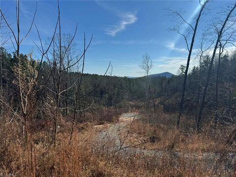 Vacant Land For Sale - TBD Old Railroad Grade Road<br/> Thurmond, NC 28683