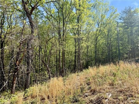 Vacant Land For Sale - 000 Big Rock Lane<br/> Lowgap, NC 27024