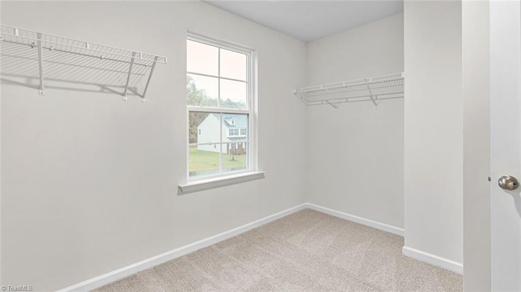3816 Colt Court, Trinity, North Carolina image 25
