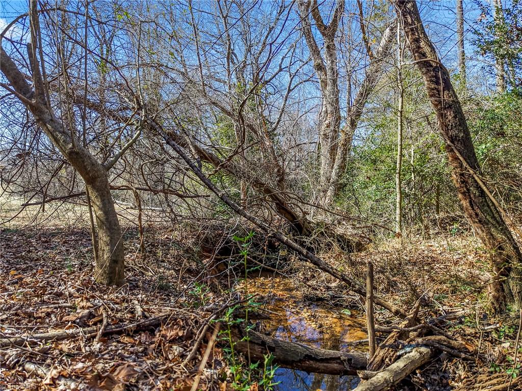 819 Gordon Court, Pilot Mountain, North Carolina image 46