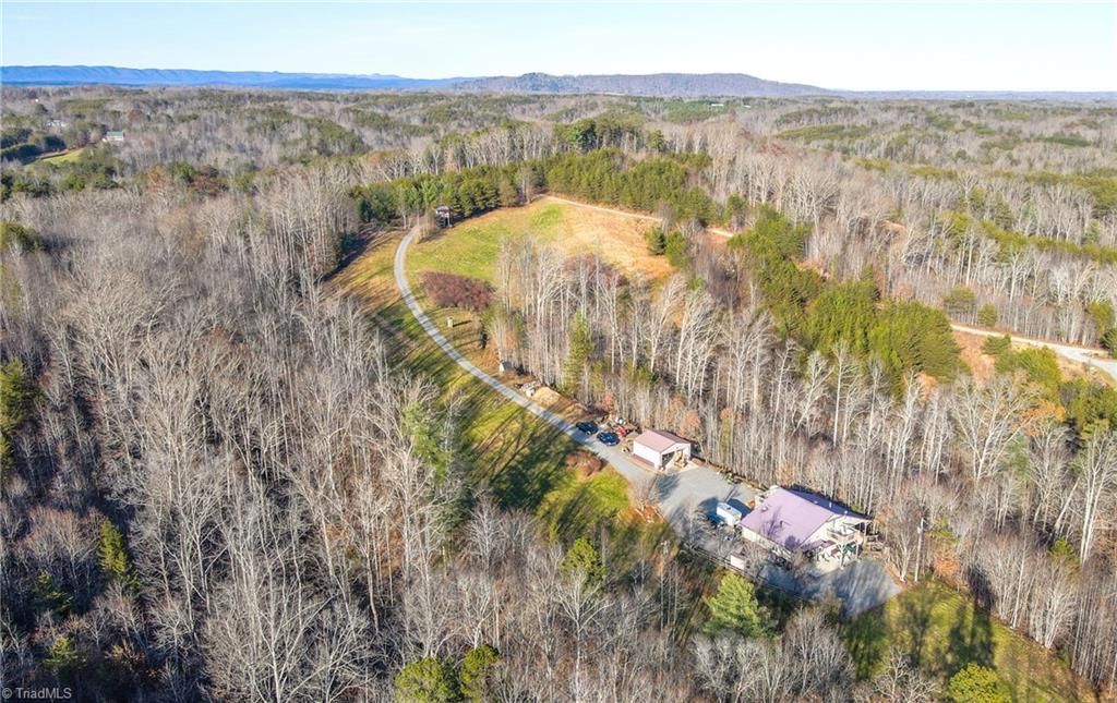 Photo of 1566 Thore Road, Pinnacle, NC 27043 (MLS # 1203736)