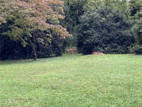 A home in Mount Airy