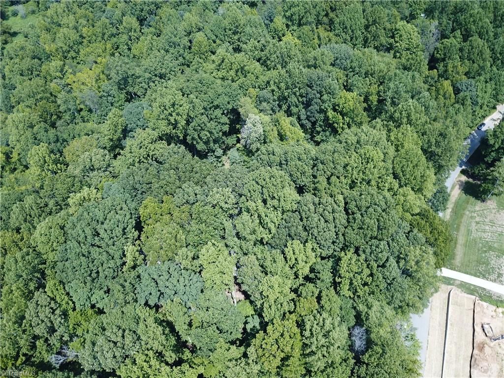 Photo of 5421 Rambling Road, Greensboro, NC 27409 (MLS # 1152143)
