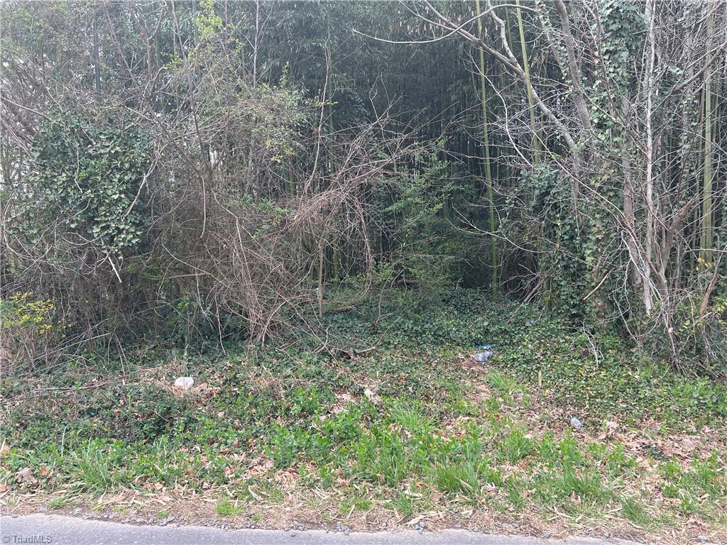 Photo 5 of 8 of 0 Booker T Washington Avenue land