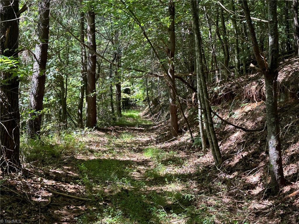 0000 Russell Gap Road, Moravian Falls, North Carolina image 16