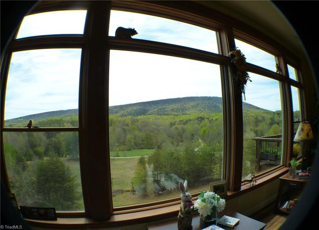 1564 Thore Road, Pinnacle, North Carolina image 20