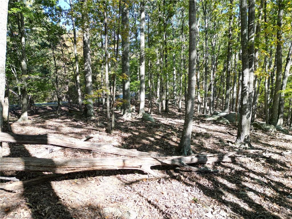 232 Sierra Trace Road, Denton, North Carolina image 15