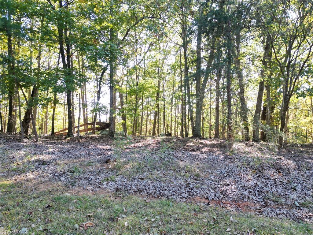 232 Sierra Trace Road, Denton, North Carolina image 14