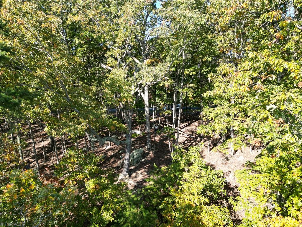 232 Sierra Trace Road, Denton, North Carolina image 16