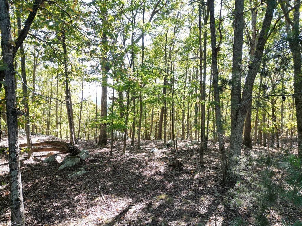 232 Sierra Trace Road, Denton, North Carolina image 8