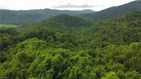 Vacant Land For Sale - Balls Mill Road<br/> North Wilkesboro, NC 28659
