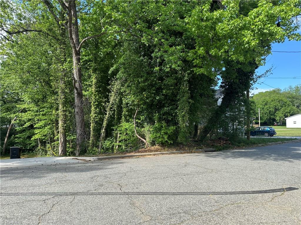 2515 Dallas Avenue, High Point, North Carolina image 3