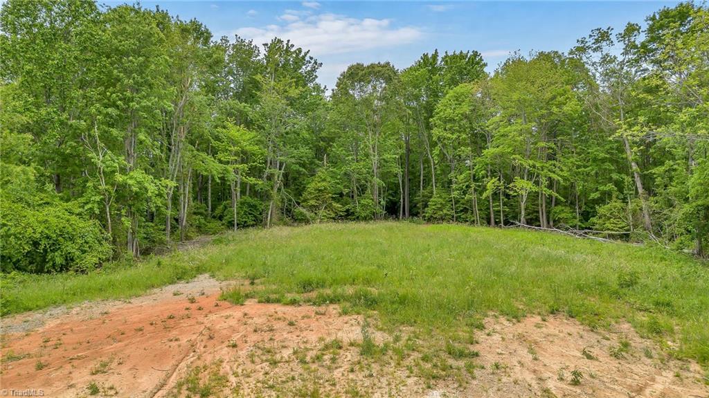 000 Pearson Road, Moravian Falls, North Carolina image 9