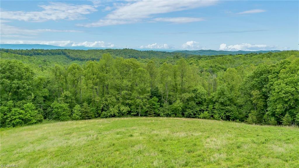 000 Pearson Road, Moravian Falls, North Carolina image 11