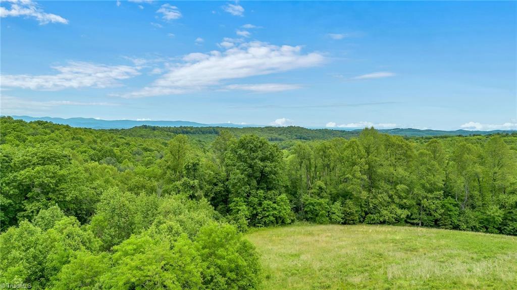 000 Pearson Road, Moravian Falls, North Carolina image 19