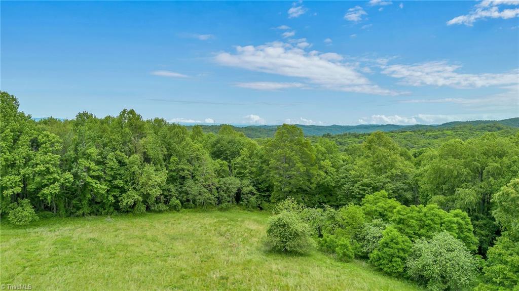 000 Pearson Road, Moravian Falls, North Carolina image 15