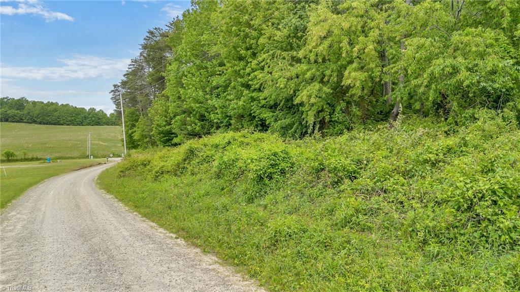 000 Pearson Road, Moravian Falls, North Carolina image 17