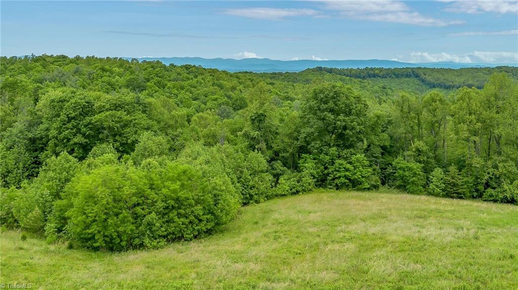 000 Pearson Road, Moravian Falls, North Carolina image 12