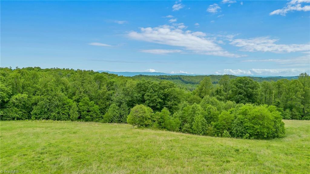 000 Pearson Road, Moravian Falls, North Carolina image 13