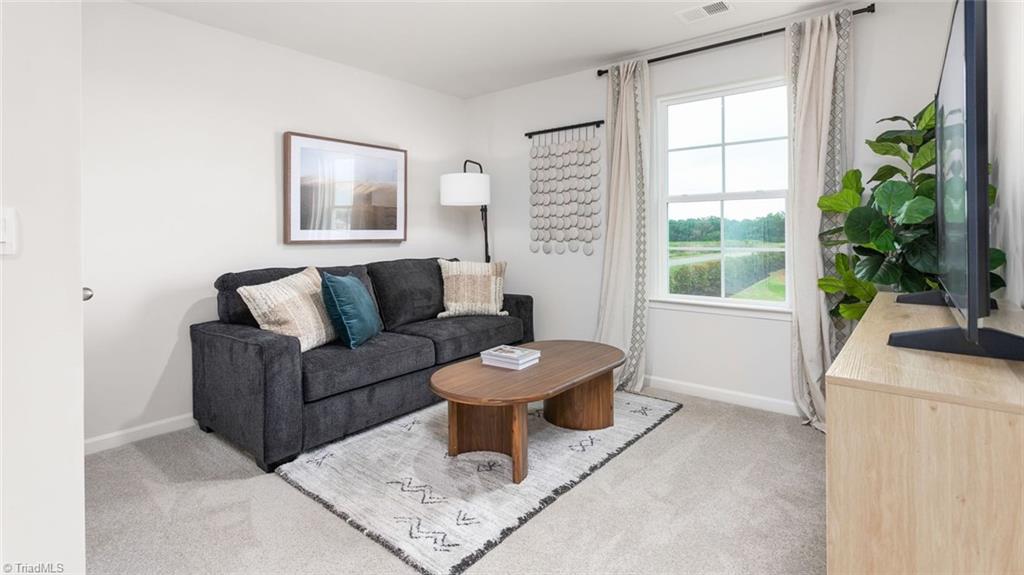 207 Expansive Drive, Lexington, North Carolina image 17