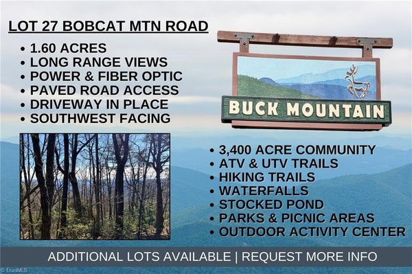 BOBCAT MTN RD, PURLEAR, NC 28665 - Image 46e4bd309f4be1f85e09cbdbbad410c8/3702470623