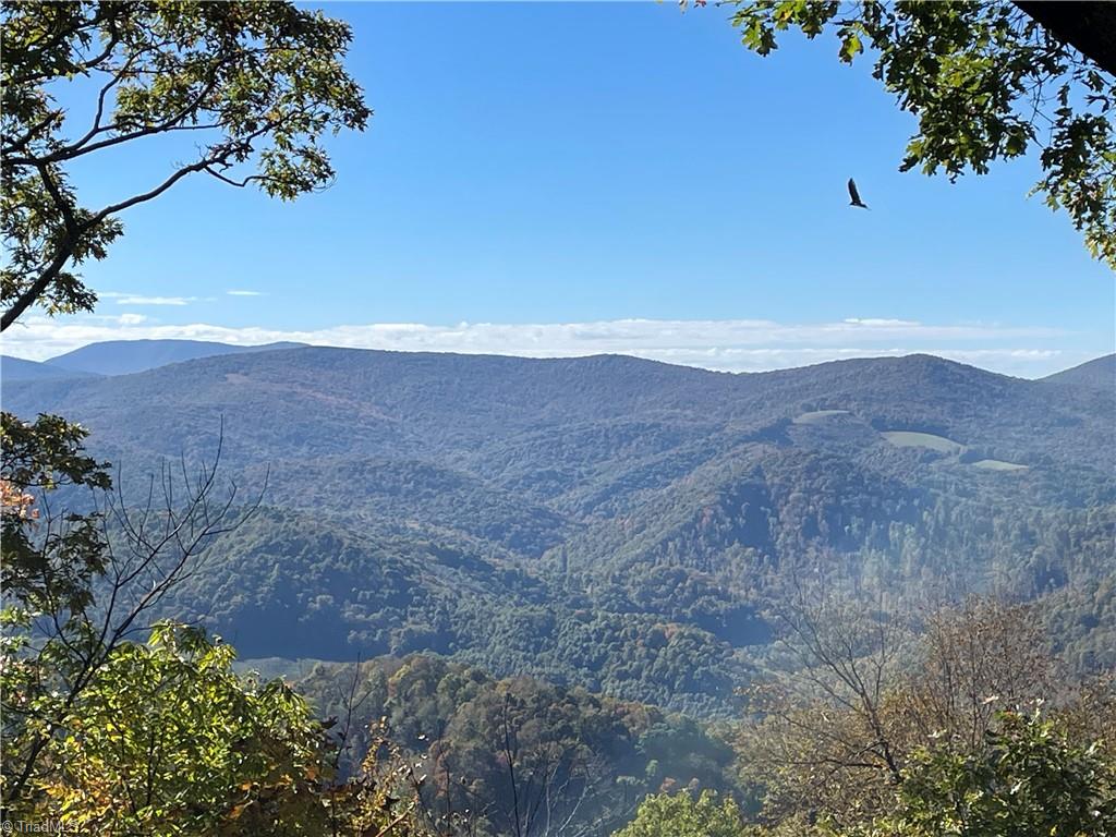 West Jefferson, North Carolina 28694, United States, ,Land,Active,76547