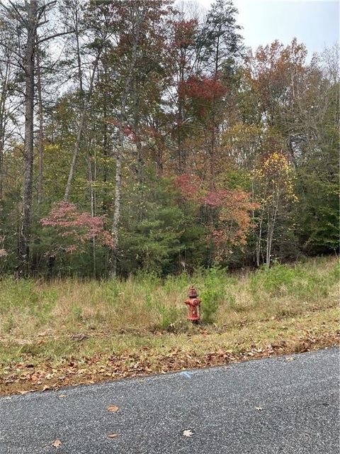 Vacant Land For Sale - 000 Rocky Point Road<br/> Wilkesboro, NC 28697