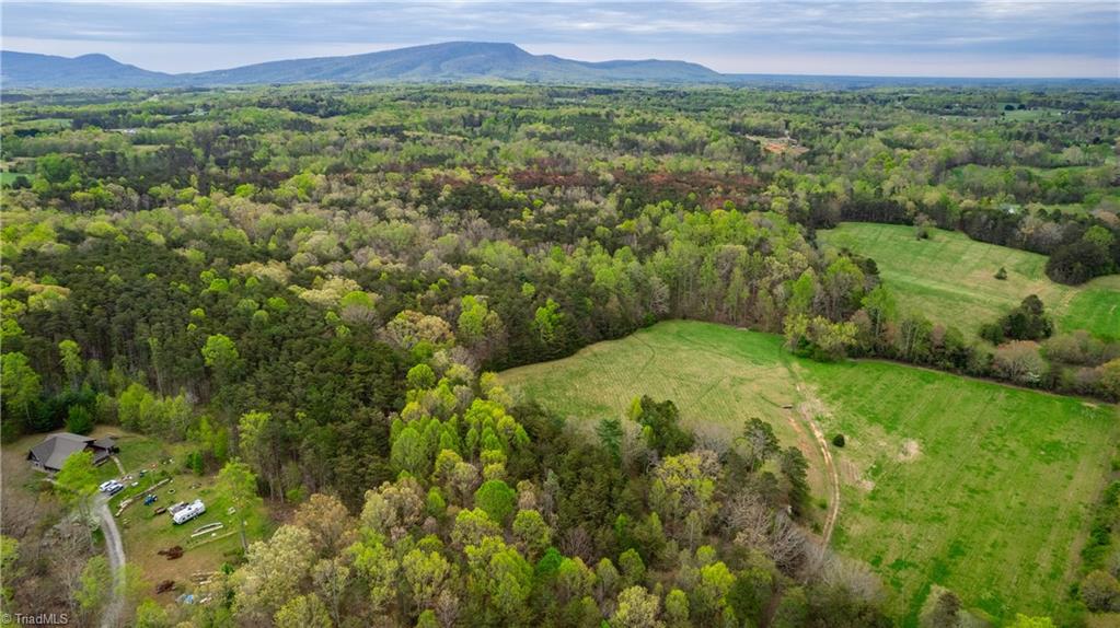1265 Rainbow Lane, Pilot Mountain, North Carolina image 37