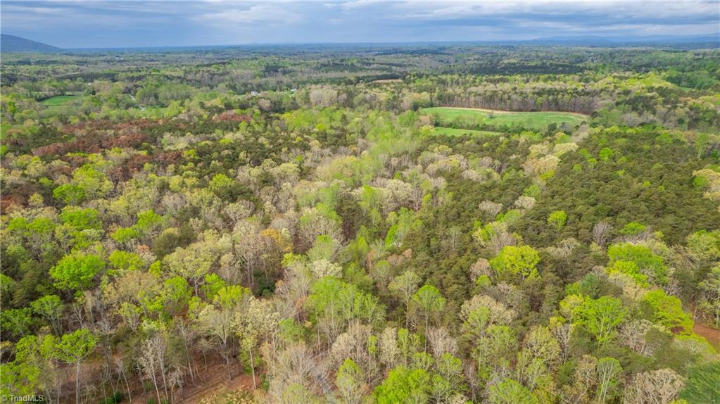 1265 Rainbow Lane, Pilot Mountain, North Carolina image 40
