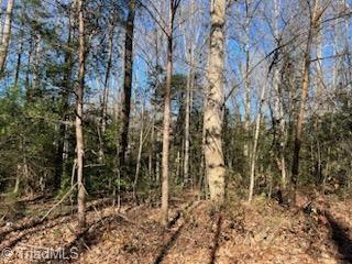 Lot 23 Woodruff Road, Jonesville, North Carolina image 4