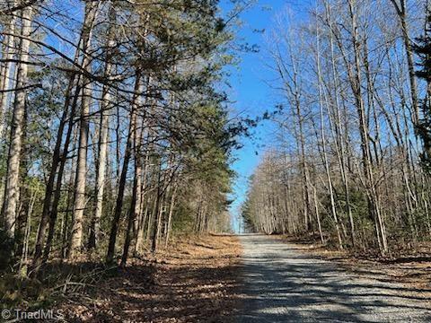 Lot 23 Woodruff Road, Jonesville, North Carolina image 2