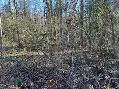 Lot 23 Woodruff Road, Jonesville, North Carolina image 5