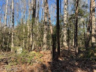 Lot 23 Woodruff Road, Jonesville, North Carolina image 3