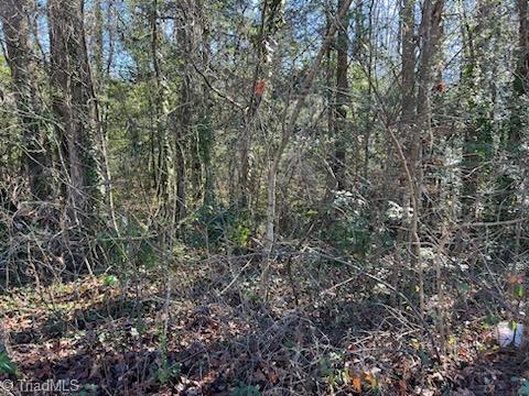 Lot 23 Woodruff Road, Jonesville, North Carolina image 7